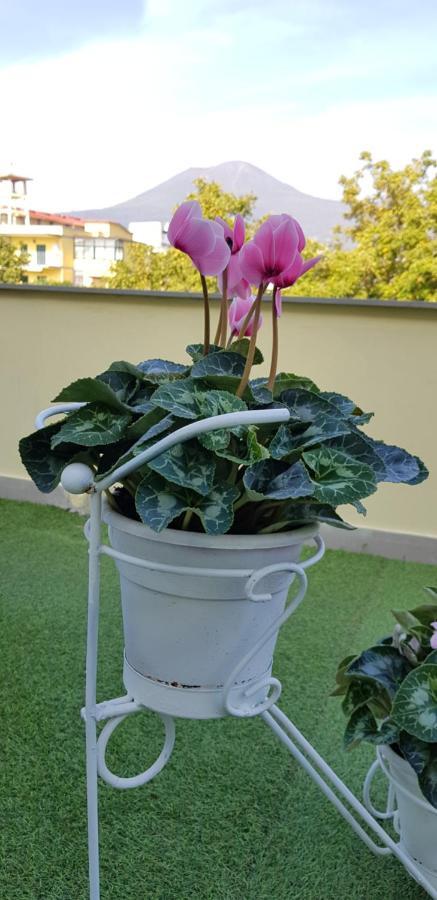 Pompei Vesevus Apartament Boscotrecase Екстер'єр фото